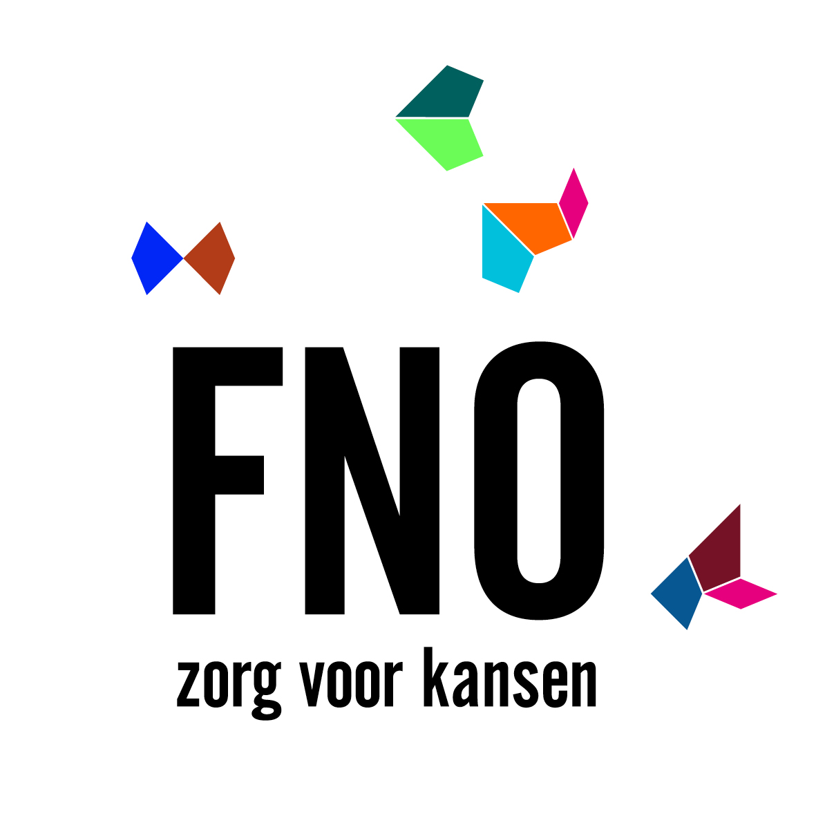 LOGO FNO c RGB